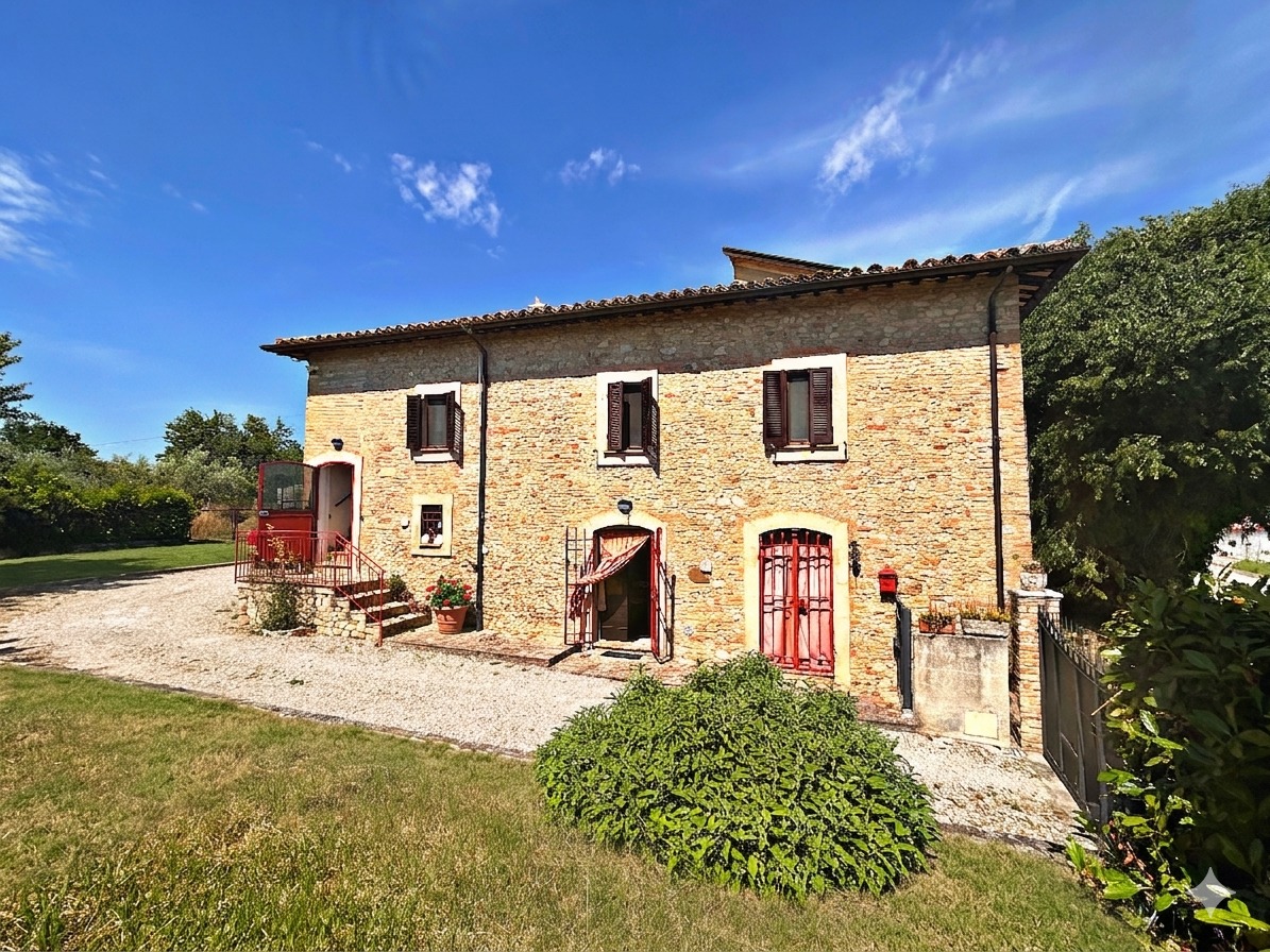 Ulivi intorno alla Dimora