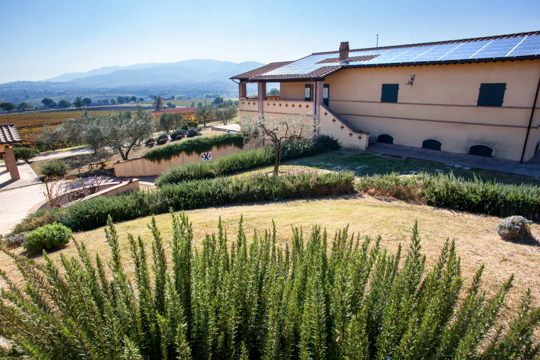 Cantina Perticaia a Montefalco
