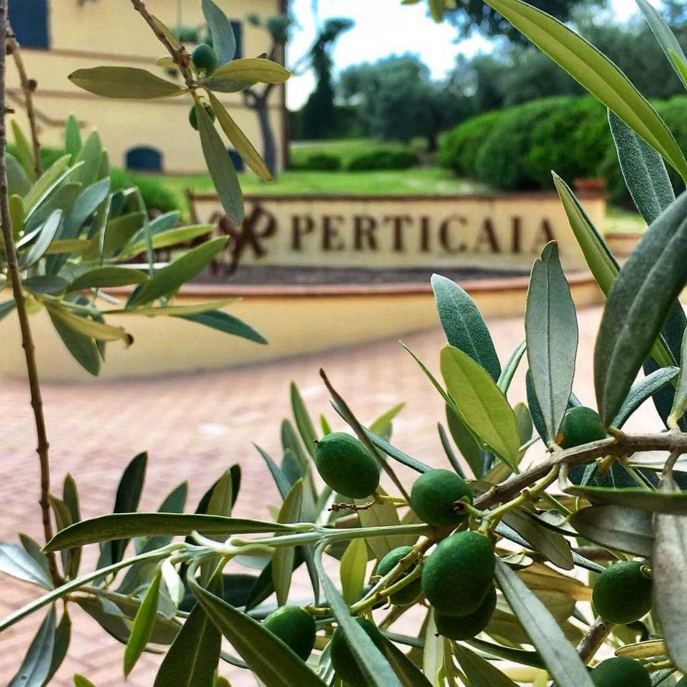 Terrazza della cantina Perticaia